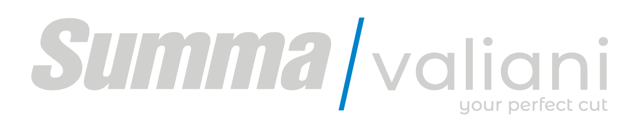 Logo Summa Valiani